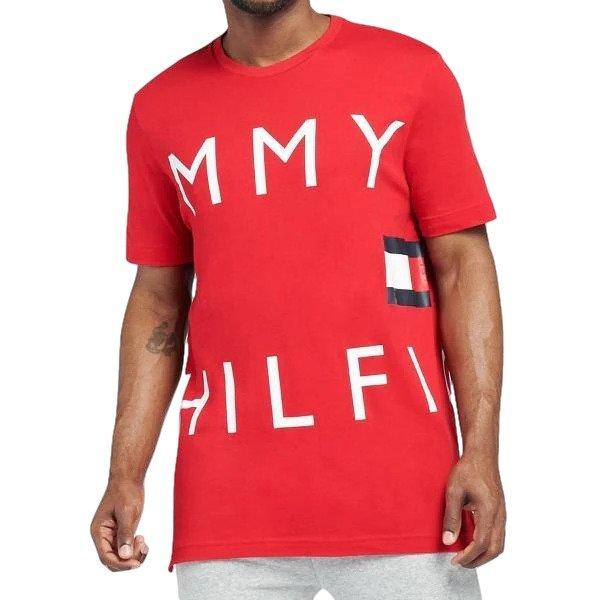 Tommy hilfiger flag online tee